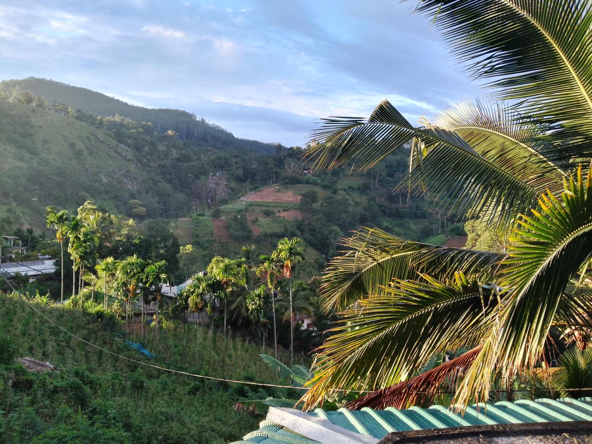 Saddle Cottage Ella Ngoại thất bức ảnh