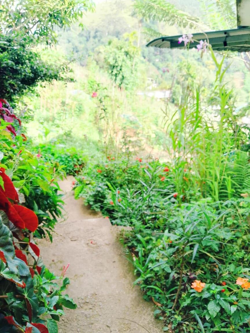 Saddle Cottage Ella Ngoại thất bức ảnh