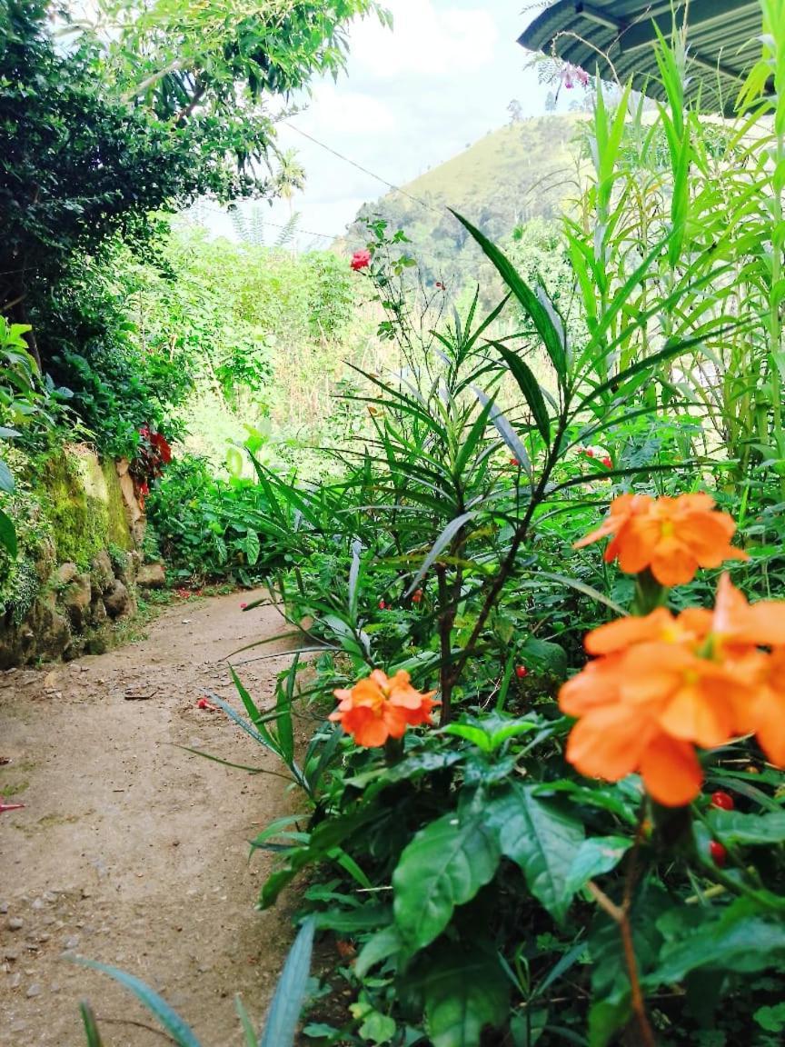 Saddle Cottage Ella Ngoại thất bức ảnh