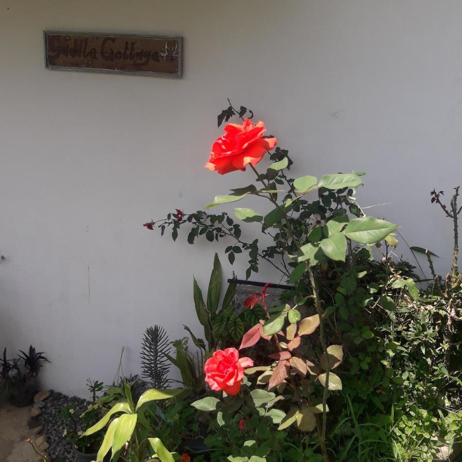 Saddle Cottage Ella Ngoại thất bức ảnh